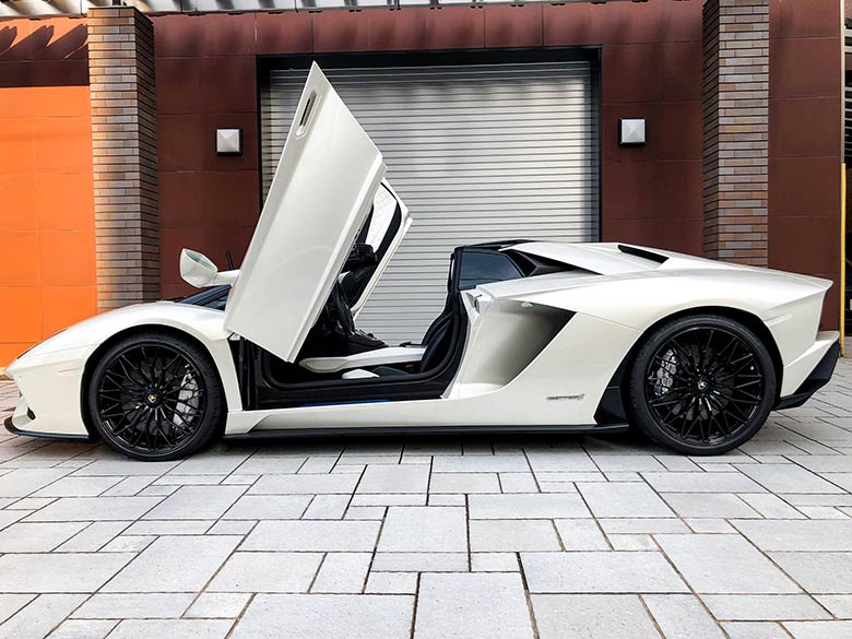 シルバーブレーキキャリパ(4/20枚)-ランボルギーニ アヴェンタドール S ロードスター