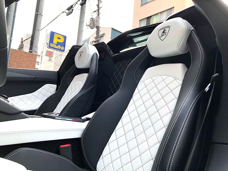 Q-Citura フルレザーキャビンアアップグレード(11/20枚)-ランボルギーニ アヴェンタドール S ロードスター