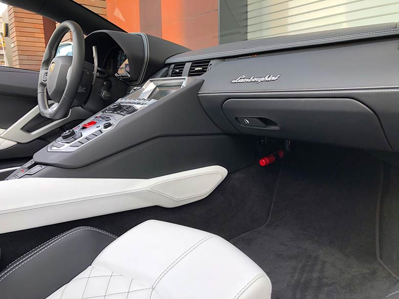 インテリアカラー　ネロアデ/ビアンコレダ(12/20枚)-ランボルギーニ アヴェンタドール S ロードスター