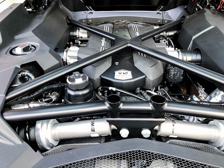 ブラックスプリング　プッシュロッドサスペンション(18/20枚)-ランボルギーニ アヴェンタドール S ロードスター