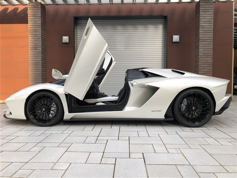 ランボルギーニ アヴェンタドール S ロードスター - ホワイトパール (4/20枚)