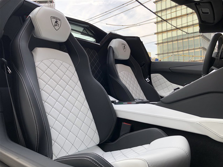 ランボルギーニ アヴェンタドール S ロードスター - ホワイトパール (13/20枚)