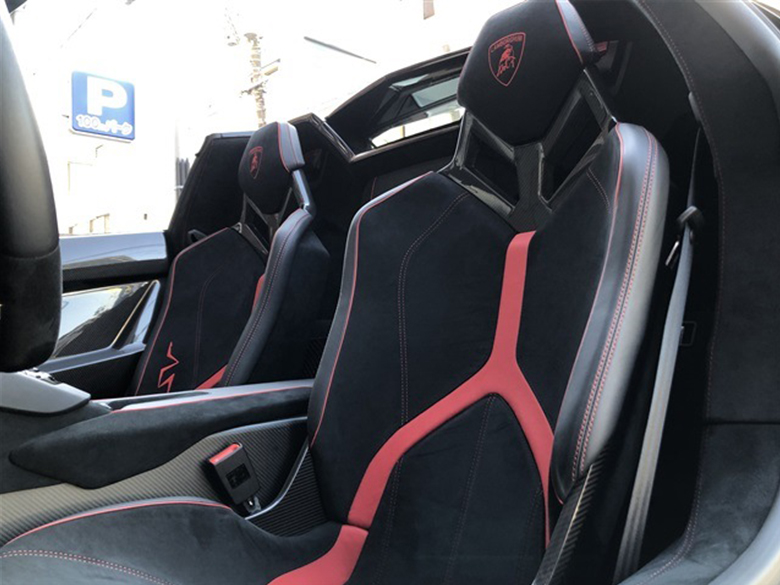 ランボルギーニ アヴェンタドール SV ロードスター グレー (9/19枚) 