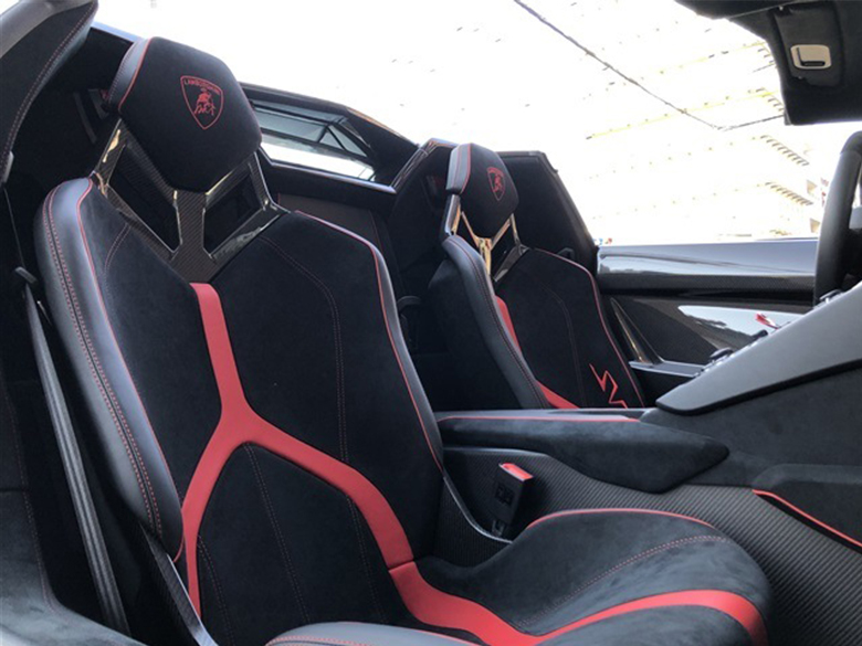 ランボルギーニ アヴェンタドール SV ロードスター グレー (11/19枚) 