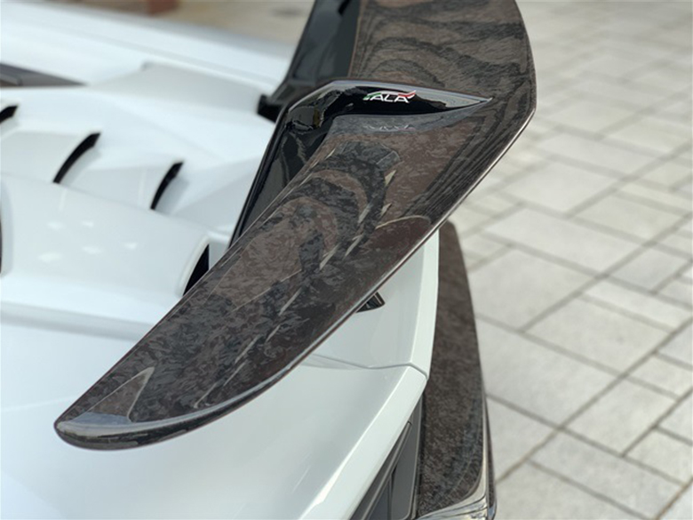 ランボルギーニ ウラカン ペルフォルマンテ - ホワイトメタリック (18/22枚)