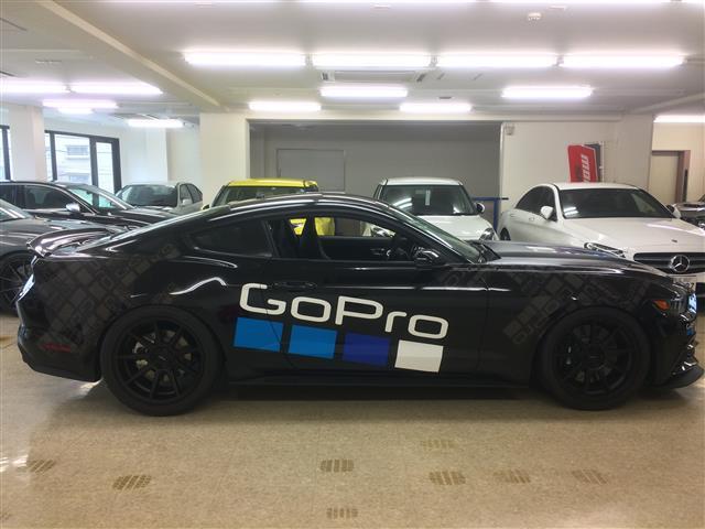 フォード マスタング STEEDA Q500 - ブラック - タジマ