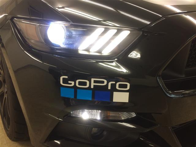 フォード マスタング STEEDA Q500 - ブラック(9/20枚)