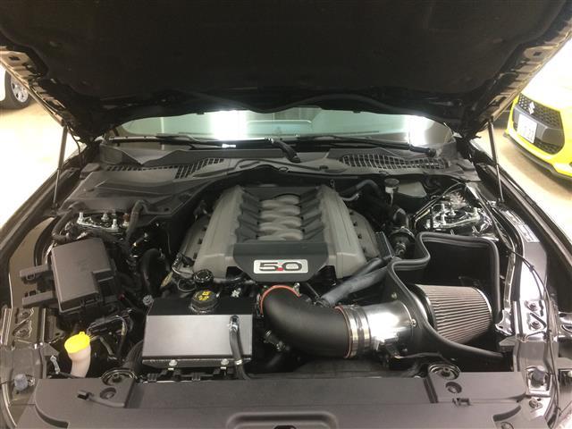 フォード マスタング STEEDA Q500 - ブラック(11/20枚)