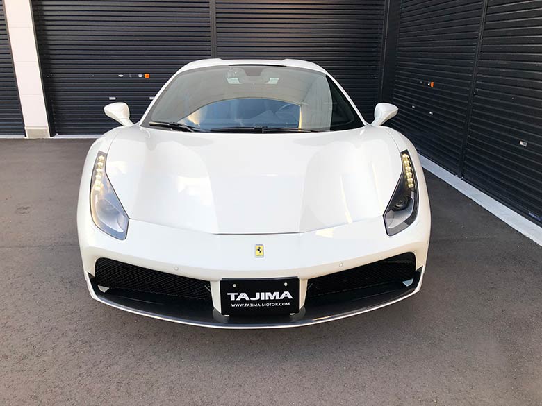 フロントカーボンスポイラー (3/18枚) フェラーリ 488スパイダー F1