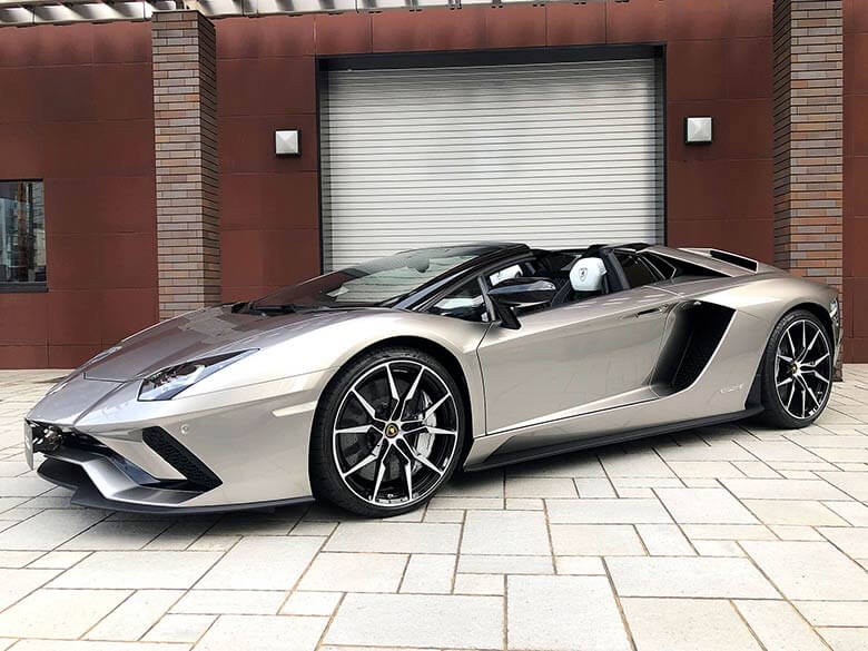 0～100キロ加速3.0秒 (7/31枚)-ランボルギーニ アヴェンタドール S ロードスター