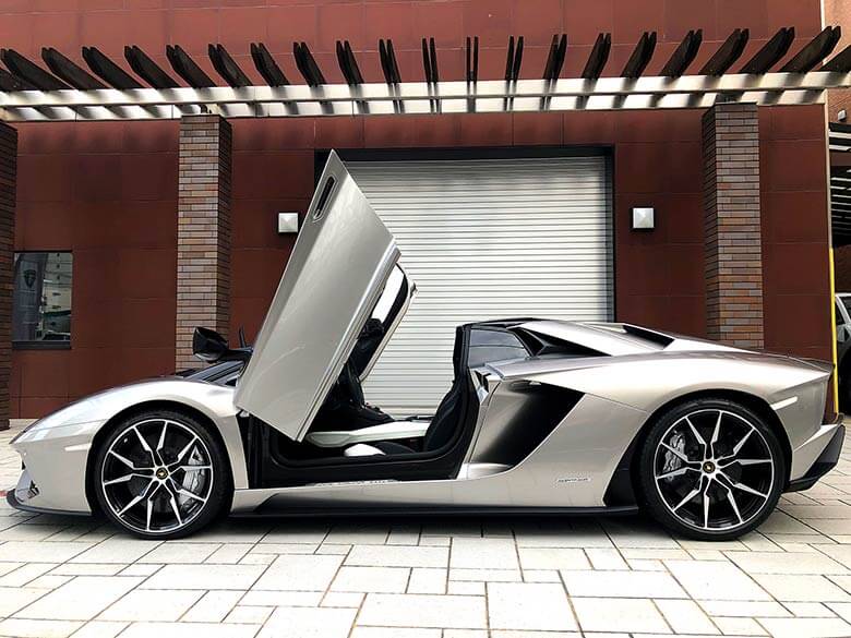 (19/31枚)-ランボルギーニ アヴェンタドール S ロードスター