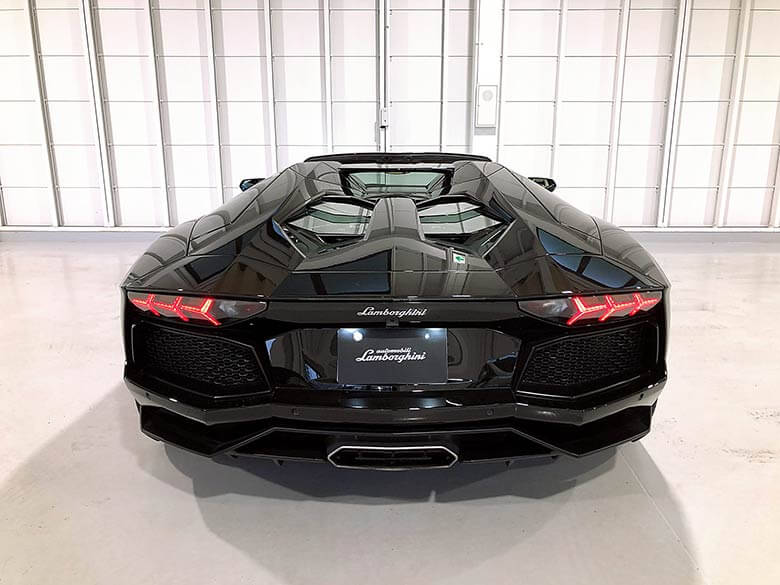 Park Assist (sensors + Rear Camera) (8/19枚) ランボルギーニ アヴェンタドール ロードスター LP700-4 ブラック MY2015