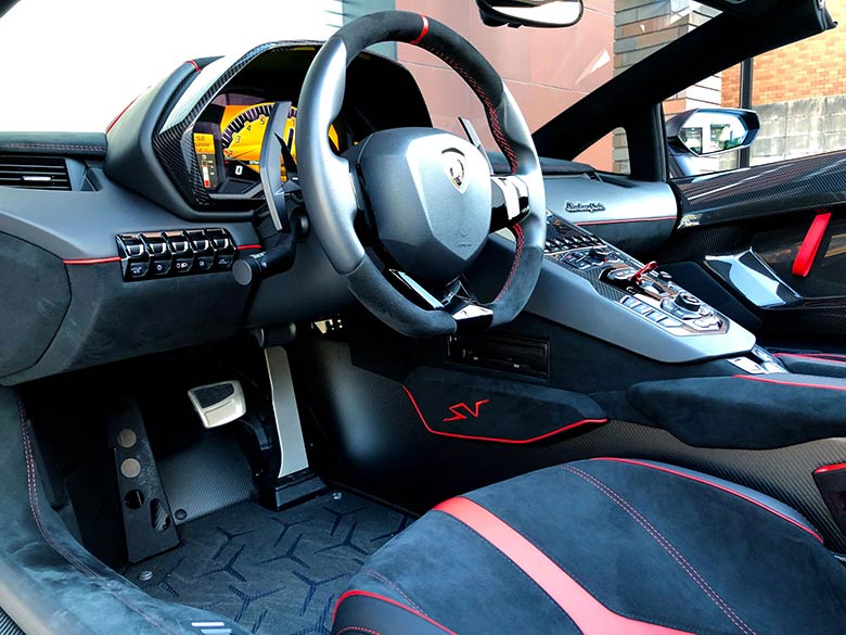 カーボン　フットプレート(10/20枚) ランボルギーニ アヴェンタドール LP750-4 SV ロードスター マットグレーメタリック MY2017